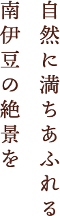 自然に満ちあふれる南伊豆の絶景を